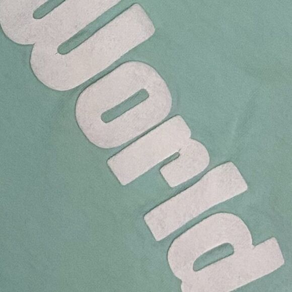 Walt Disney World Spirit Jersey - Picture 8 of 13